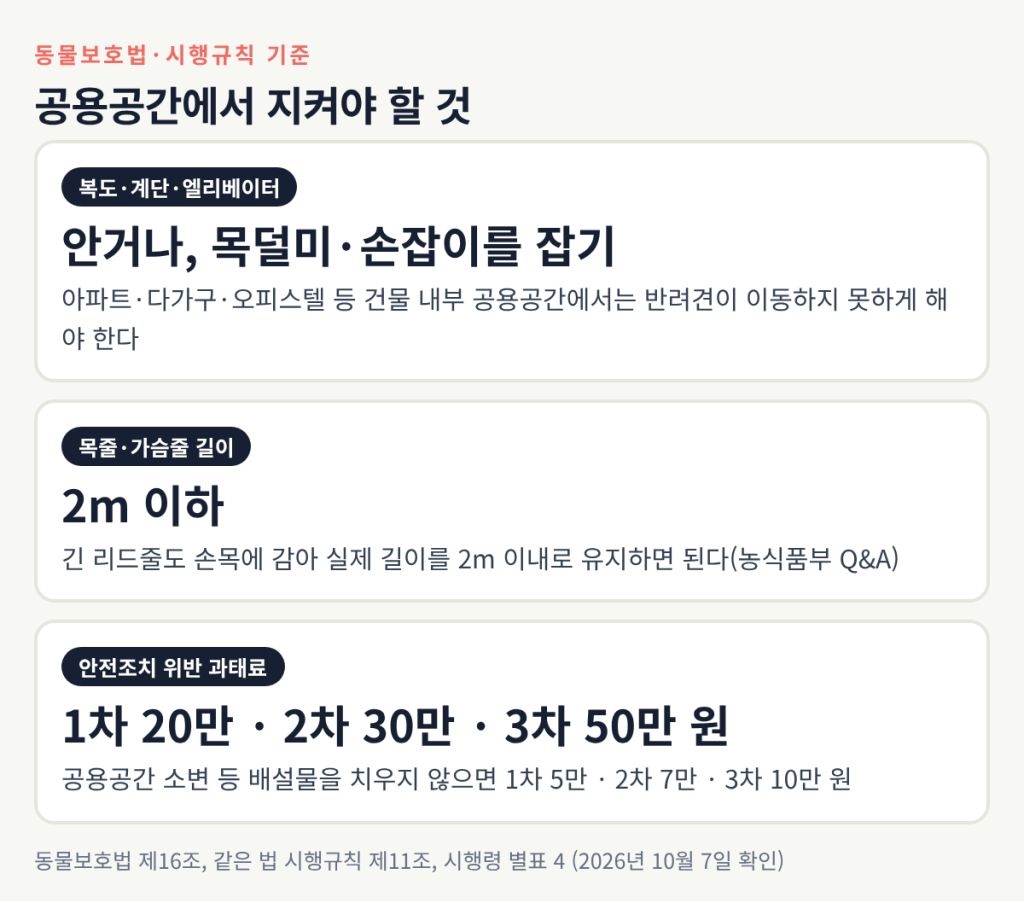 동물보호법과 시행규칙에 따른 공용공간 반려견 안전조치, 목줄 2m 기준, 과태료 금액 정리